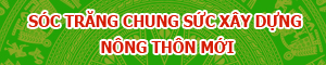 Liên kết truy cập nhanh