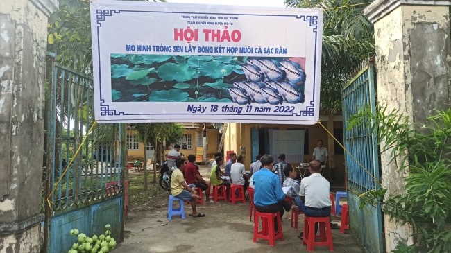 Hội thảo mô hình Trồng sen lấy bông kết hợp nuôi cá sặc rằn tại xã Mỹ Thuận