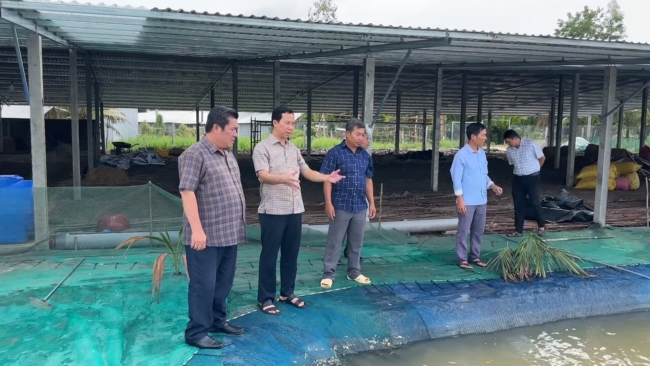 Lãnh đạo xã Mỹ Tú, TP Cần Thơ tham quan mô hình nuôi vịt đẻ trứng kết hợp nuôi cá tại ấp Mỹ Lợi C