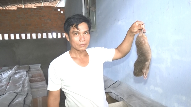 Mỹ Phước: mô hình nuôi Dúi bước đầu mang lại hiệu quả kinh tế cao