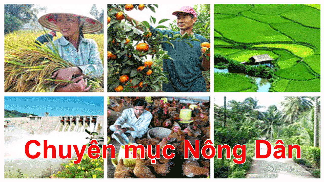 Chuyên mục Nông dân 14-4-2017