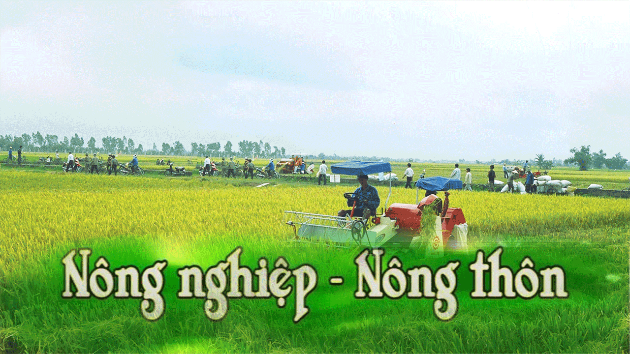 Chuyên mục Nông nghiệp và phát triển nông thôn 17-4-2017